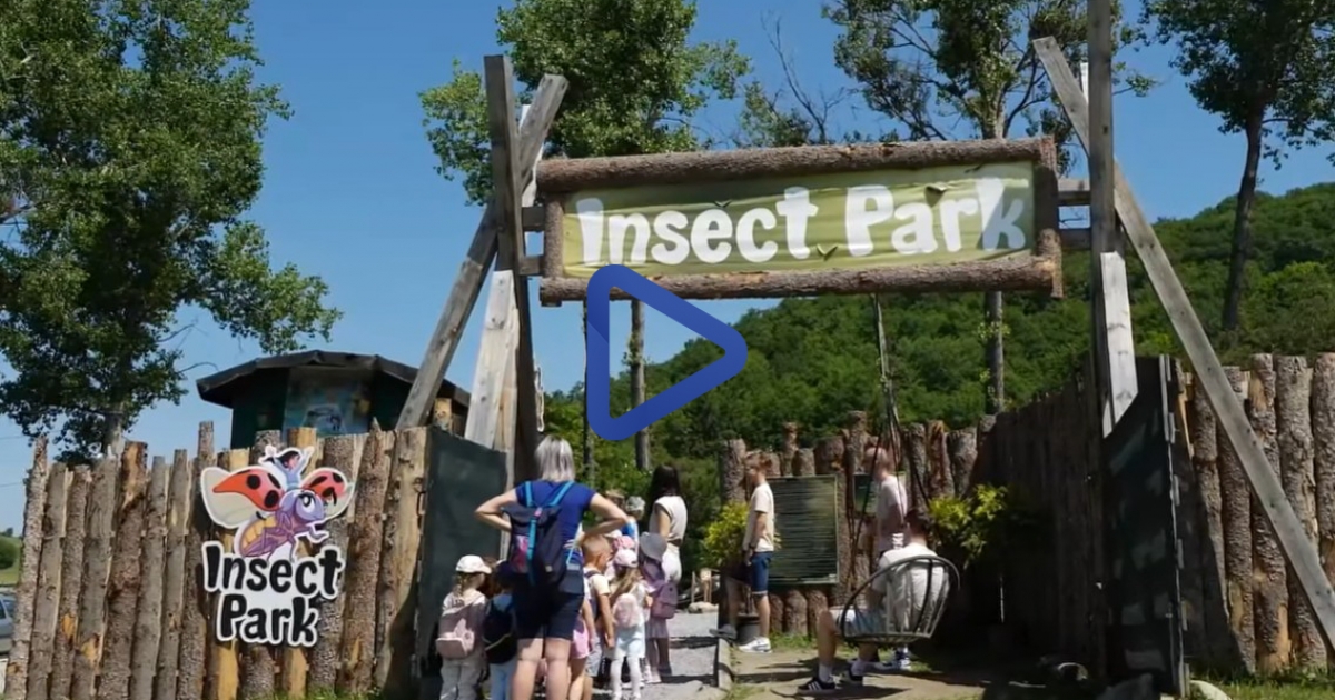 Szejkefürdőre már nem csak a gyógyvíz csalogatja a látogatókat